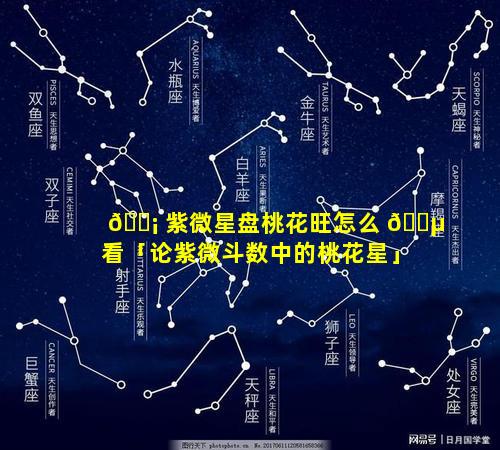 🐡 紫微星盘桃花旺怎么 🐵 看「论紫微斗数中的桃花星」